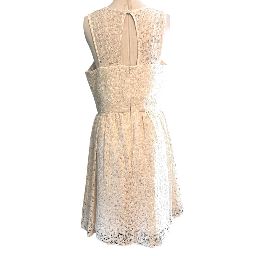 NWT ($108) Limited Cream Lace Fit & Flare Midi Dress Sz 10 - Picture 8 of 11